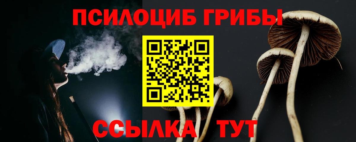 Псилоцибиновые грибы прущие грибы Карпинск